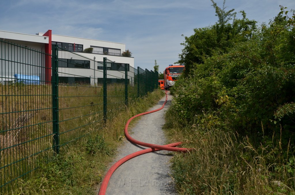 Bodenfeuer Koeln Porz Westhovener Auen P20.JPG - Miklos Laubert